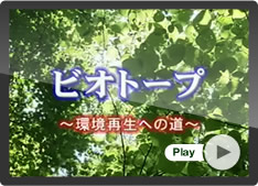 play