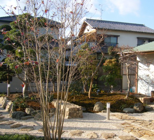 dscf8217e58887e58f961